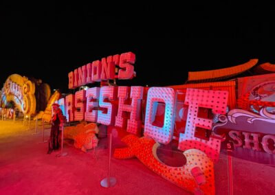 The Neon Museum